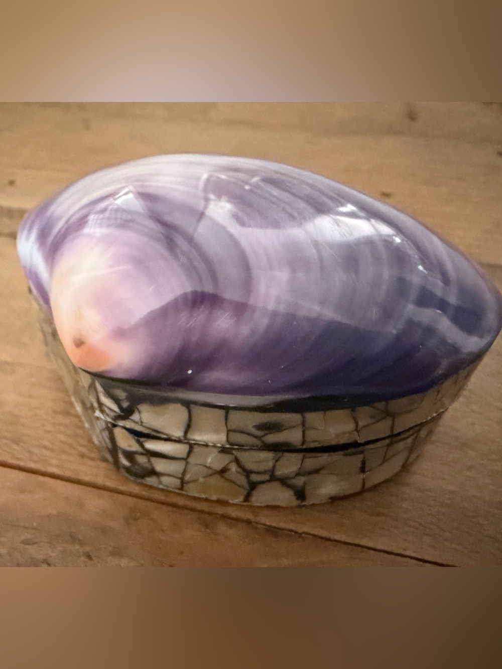 SARDA HANDCRAFTED PURPLE CLAM SHELL TRINKET BOX IRIDESCENT MOTHER OF PEARL BASE